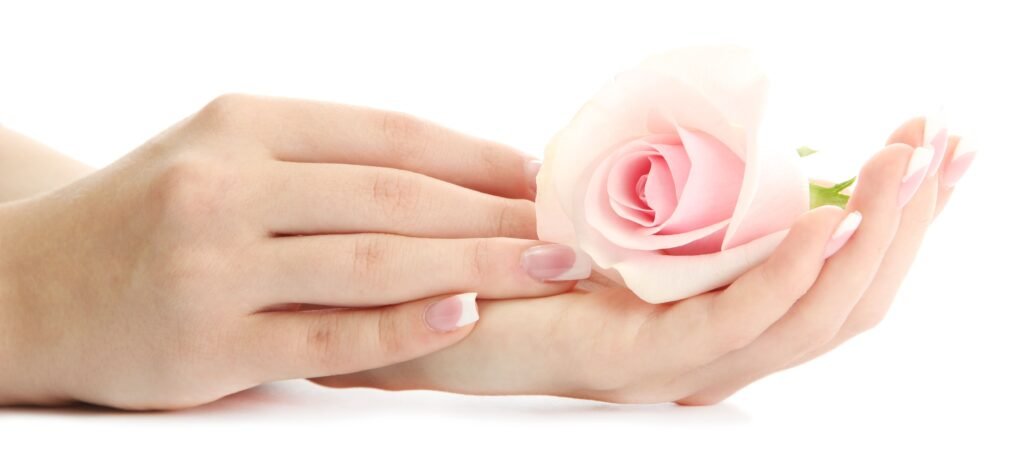 beautiful-woman-hands-with-rose-isolated-white (2)